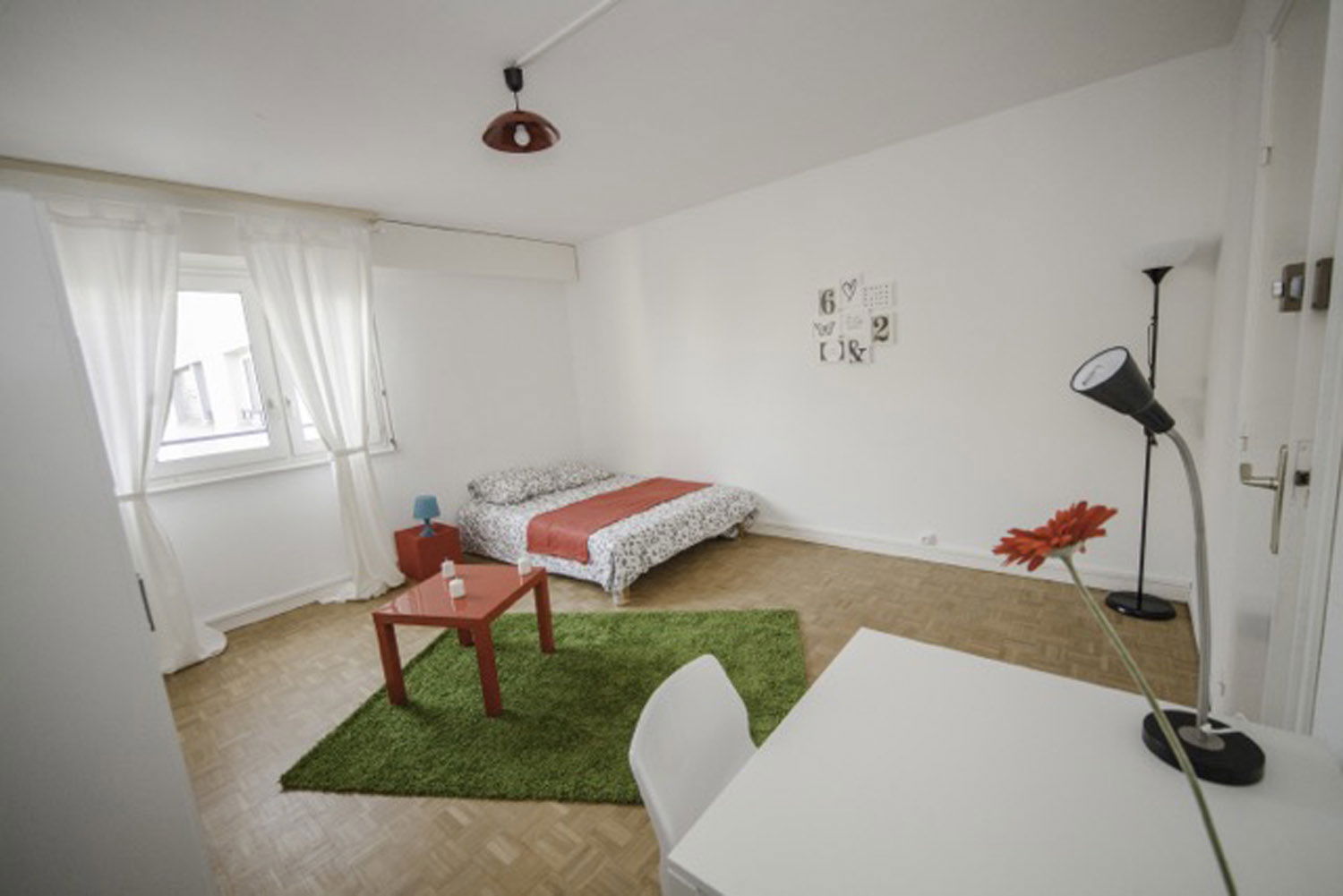 Colocation Strasbourg 264616
