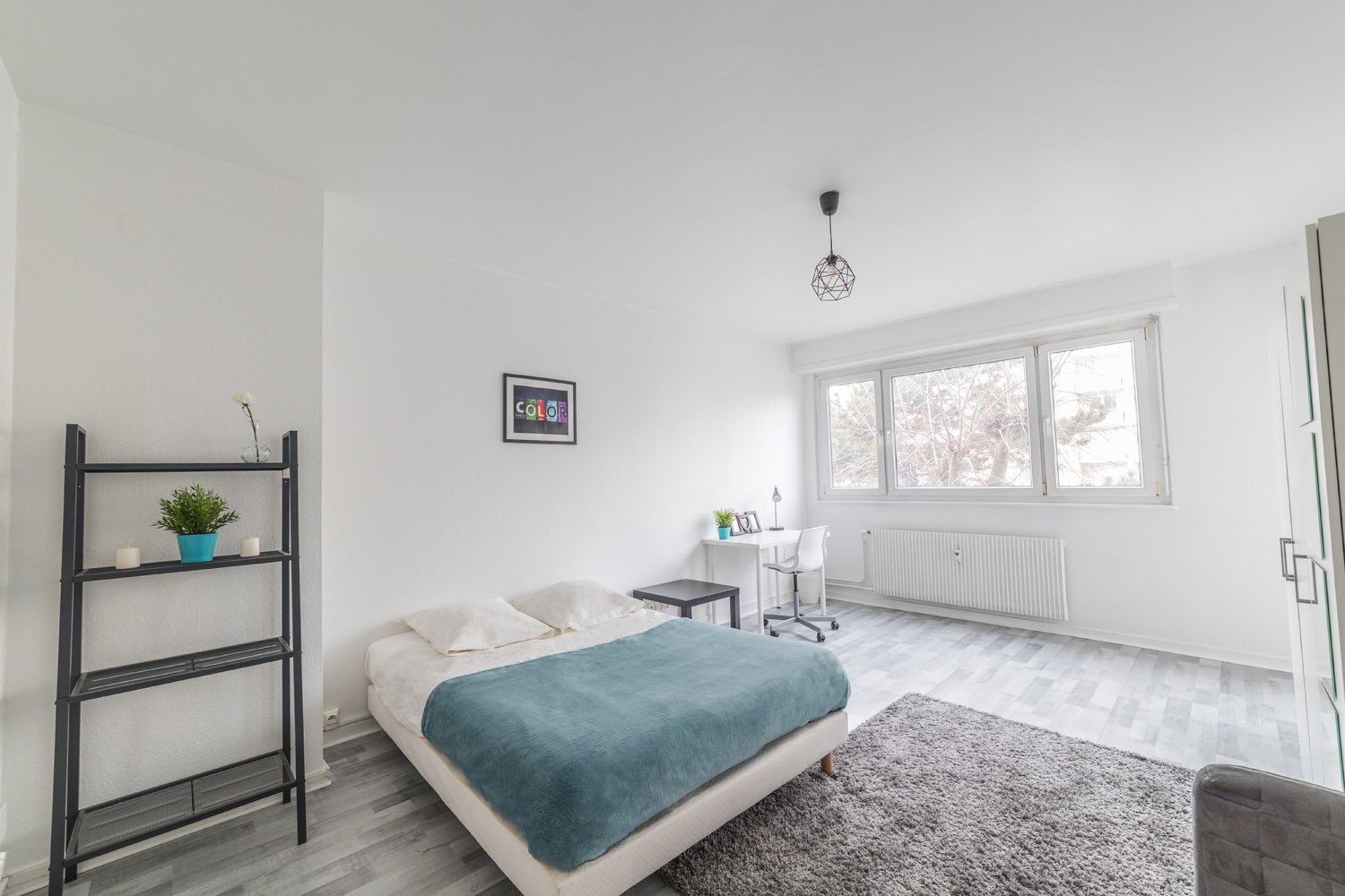 Colocation Strasbourg 264662