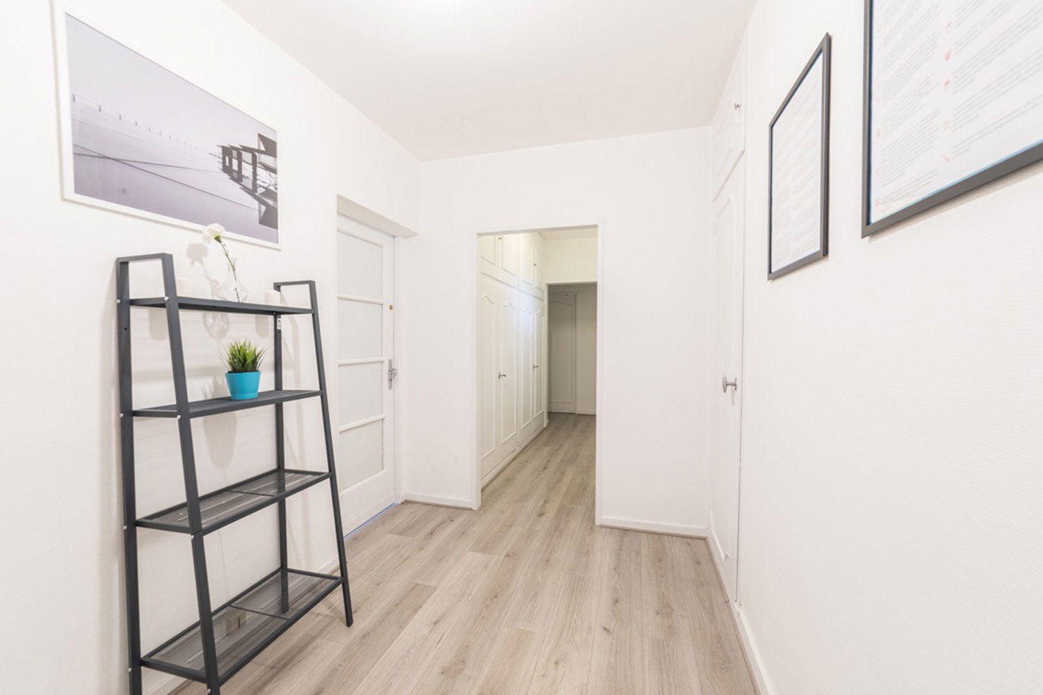Colocation Strasbourg 264700