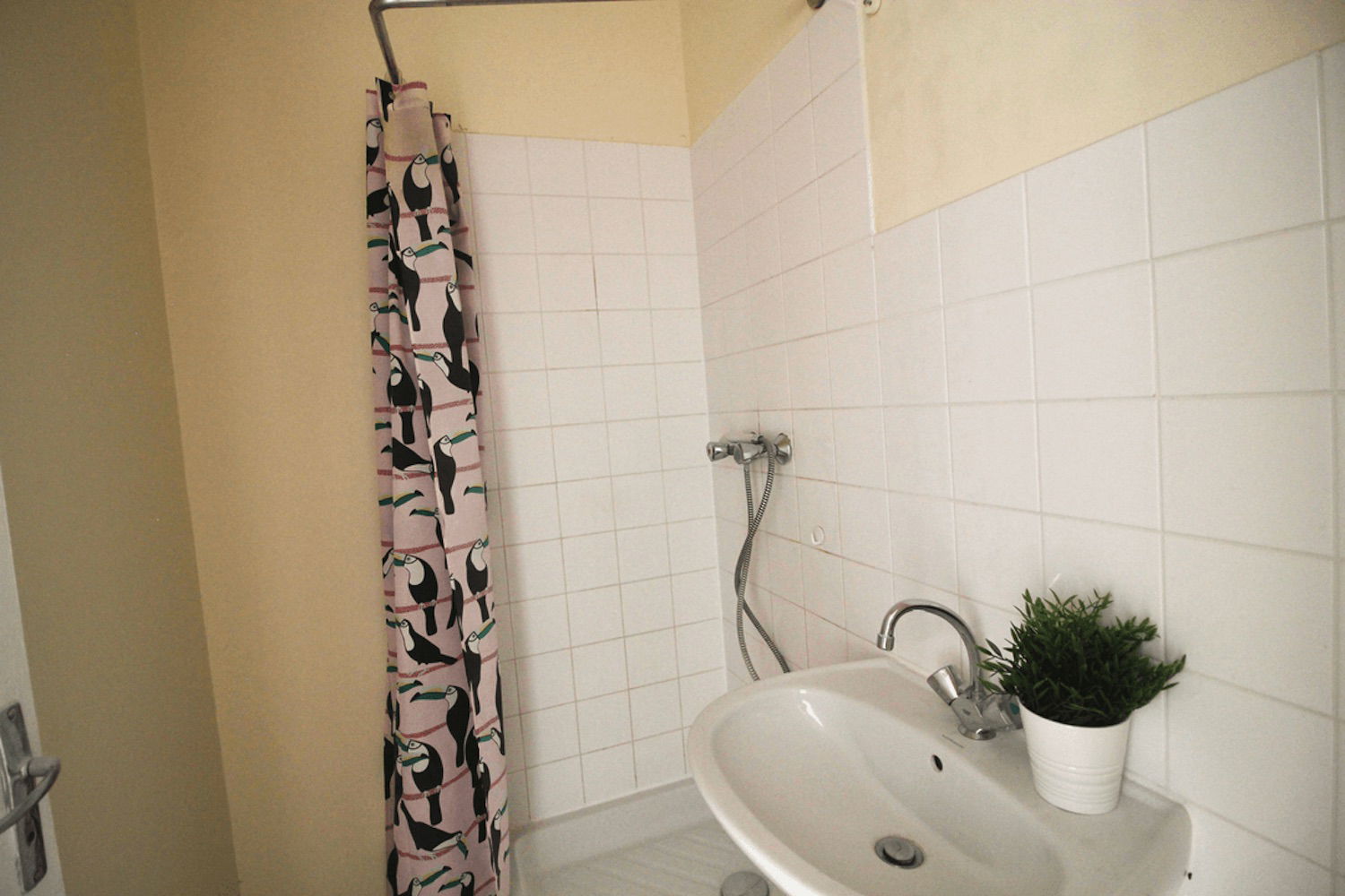 Colocation Paris 264967