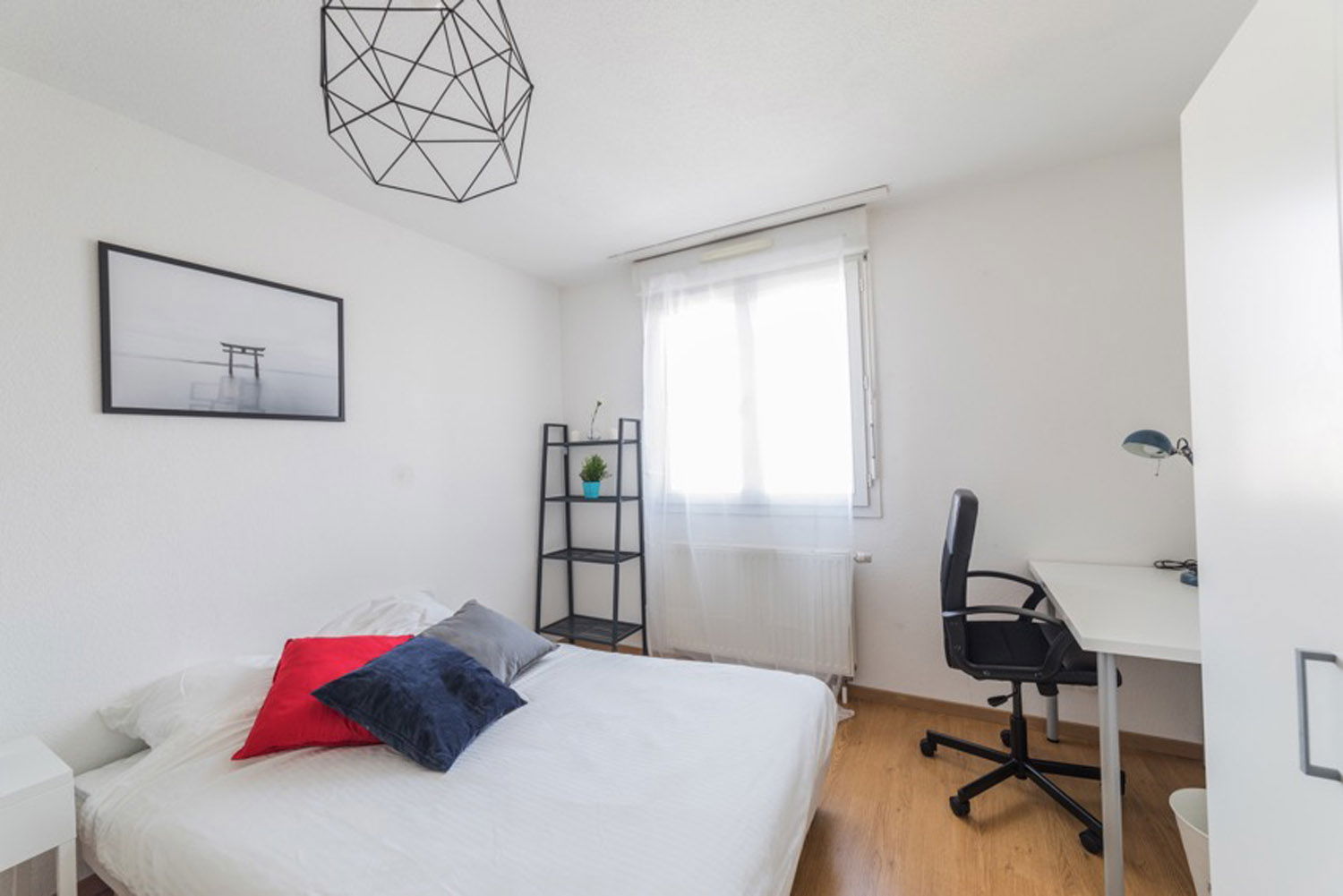 Colocation Strasbourg 264705