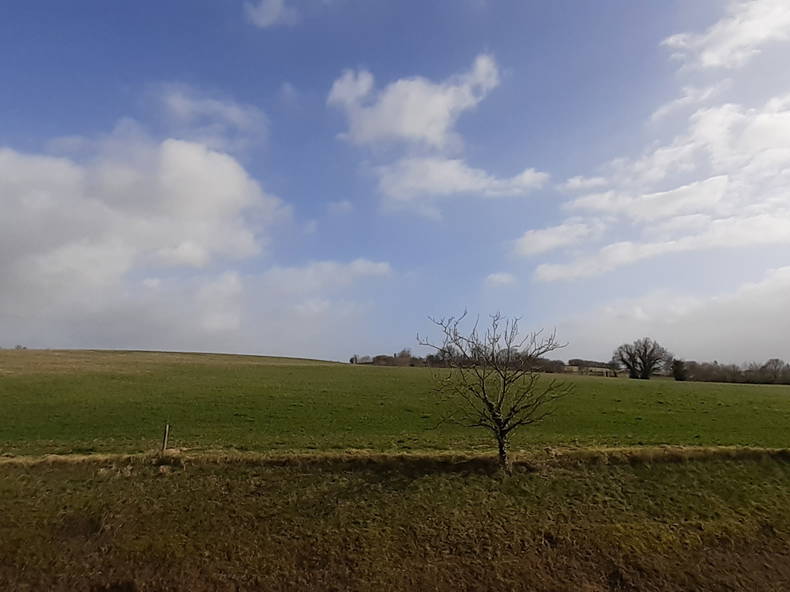 Homestay Écommoy 256831-5