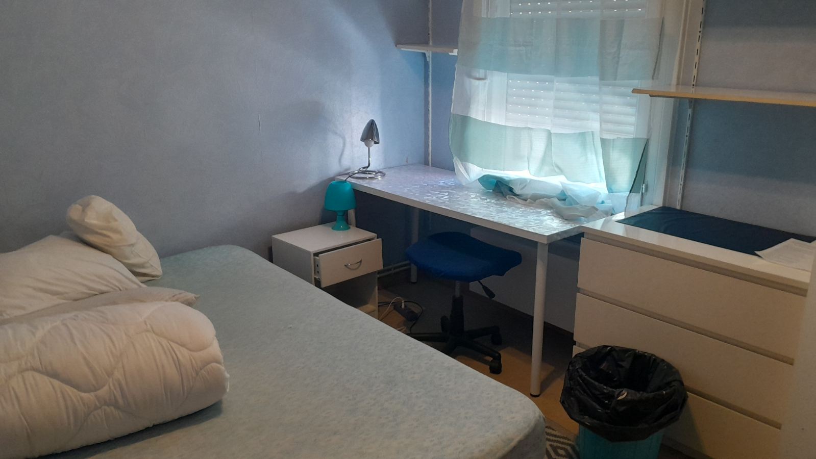 Homestay Villeurbanne 185641