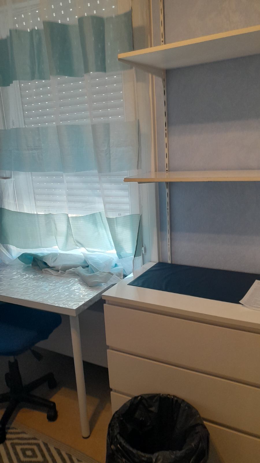 Homestay Villeurbanne 185641