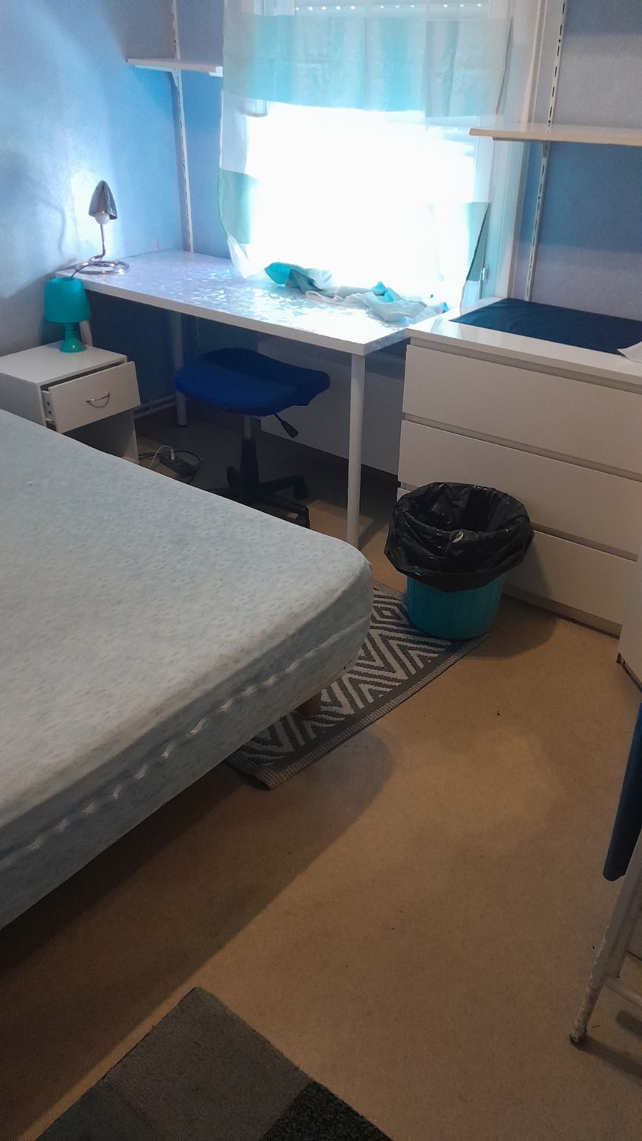 Homestay Villeurbanne 185641