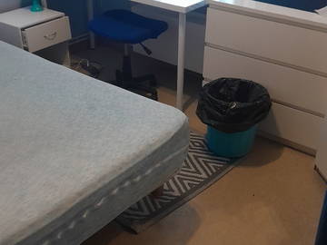 Chambre Chez L'habitant Villeurbanne 185641-4