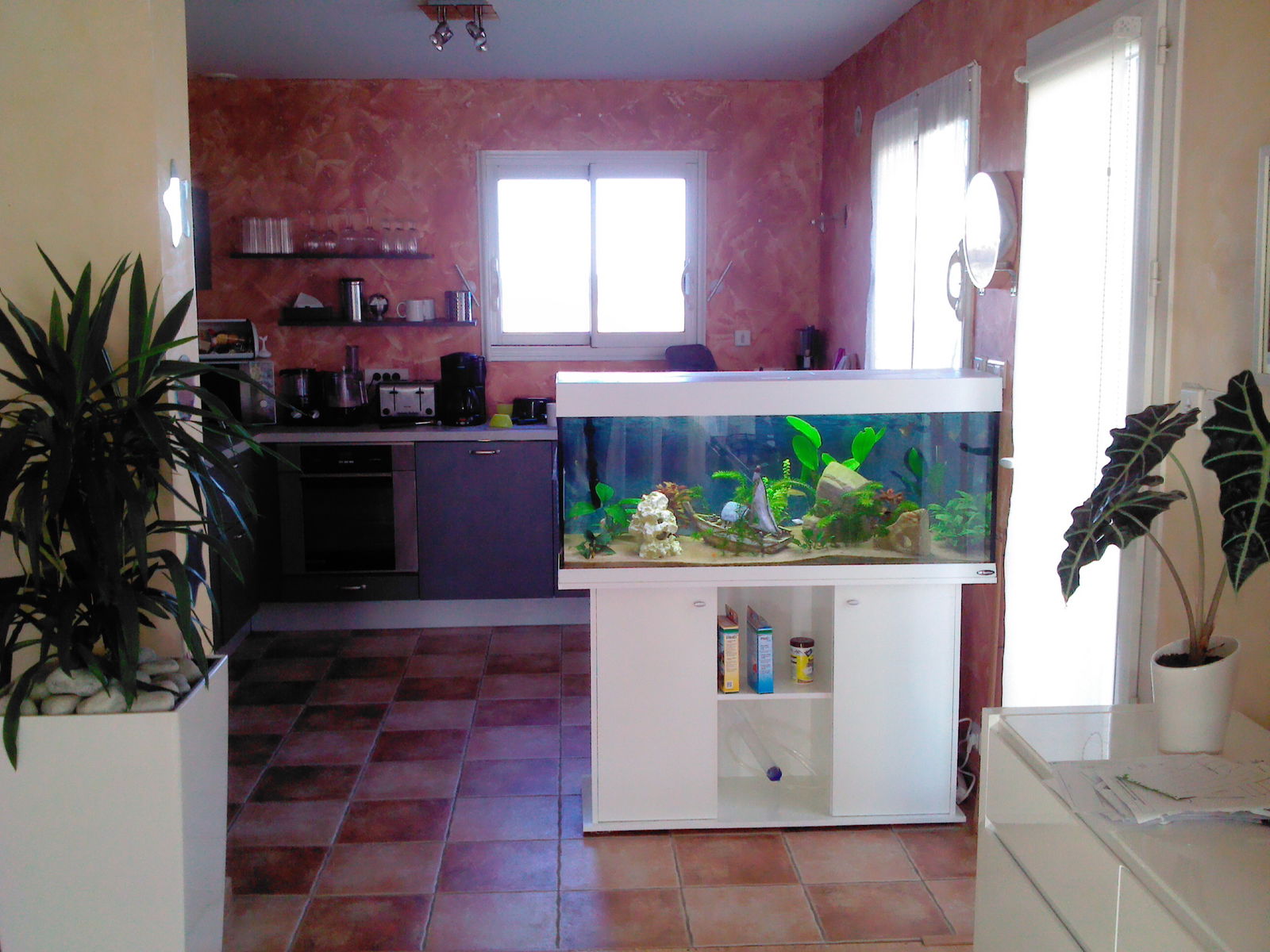 Homestay Alénya 80109