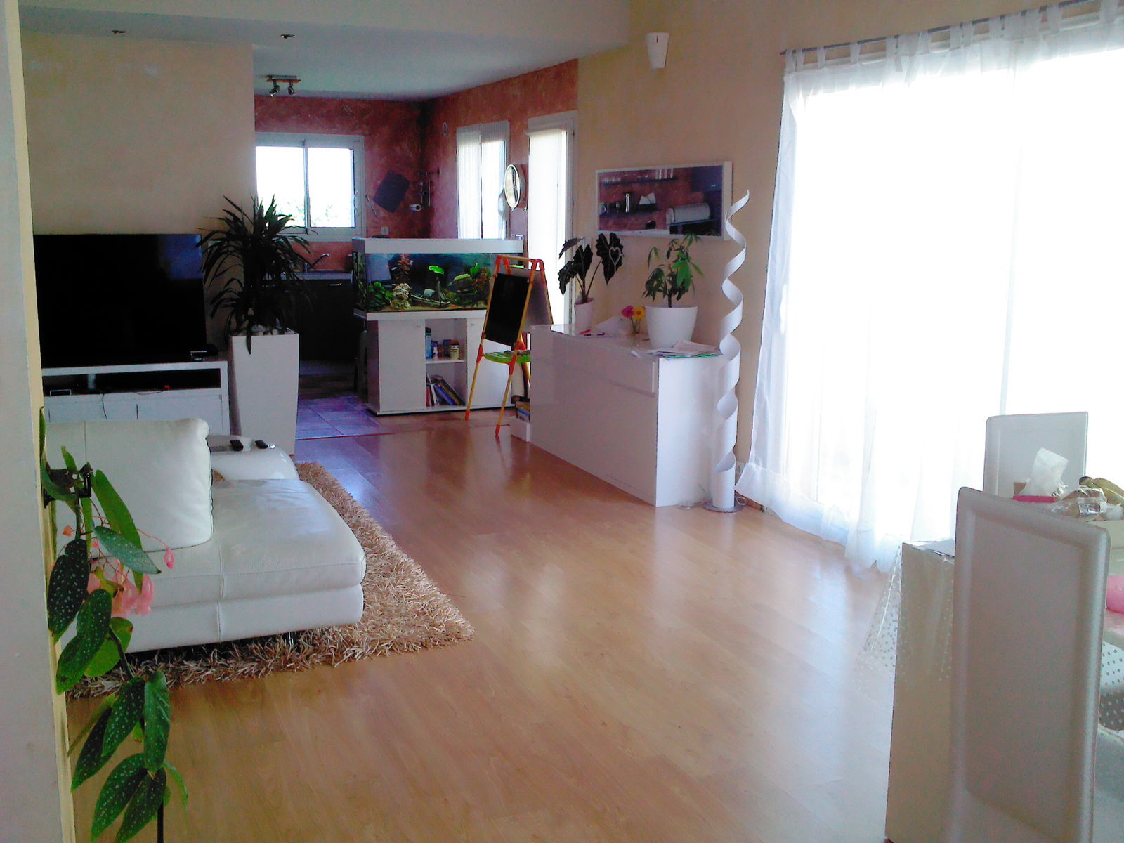 Homestay Alénya 80109