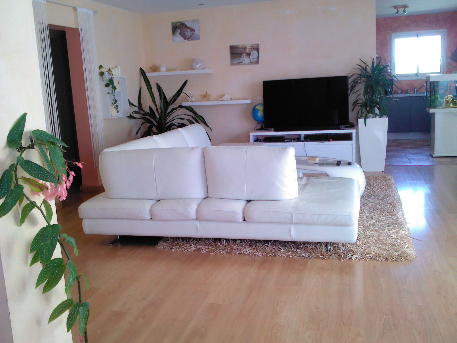 Homestay Alénya 80109