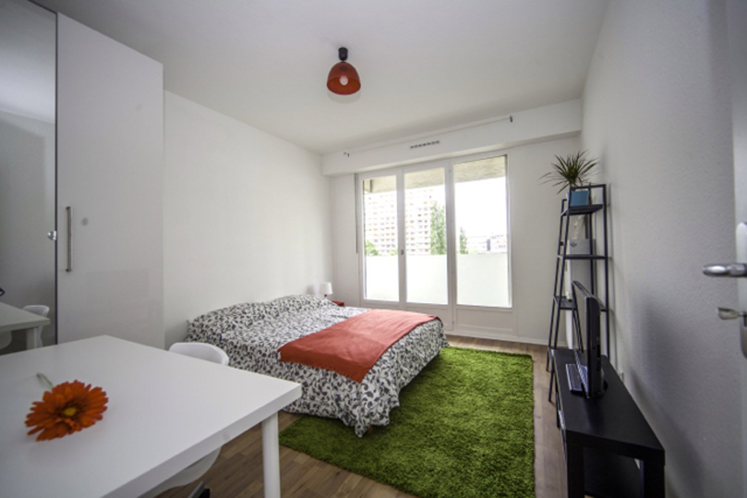Colocation Strasbourg 264655