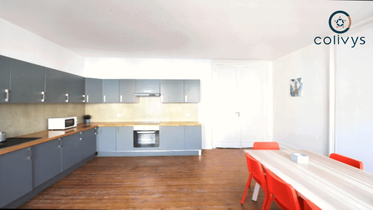 Colocation Bordeaux 226229