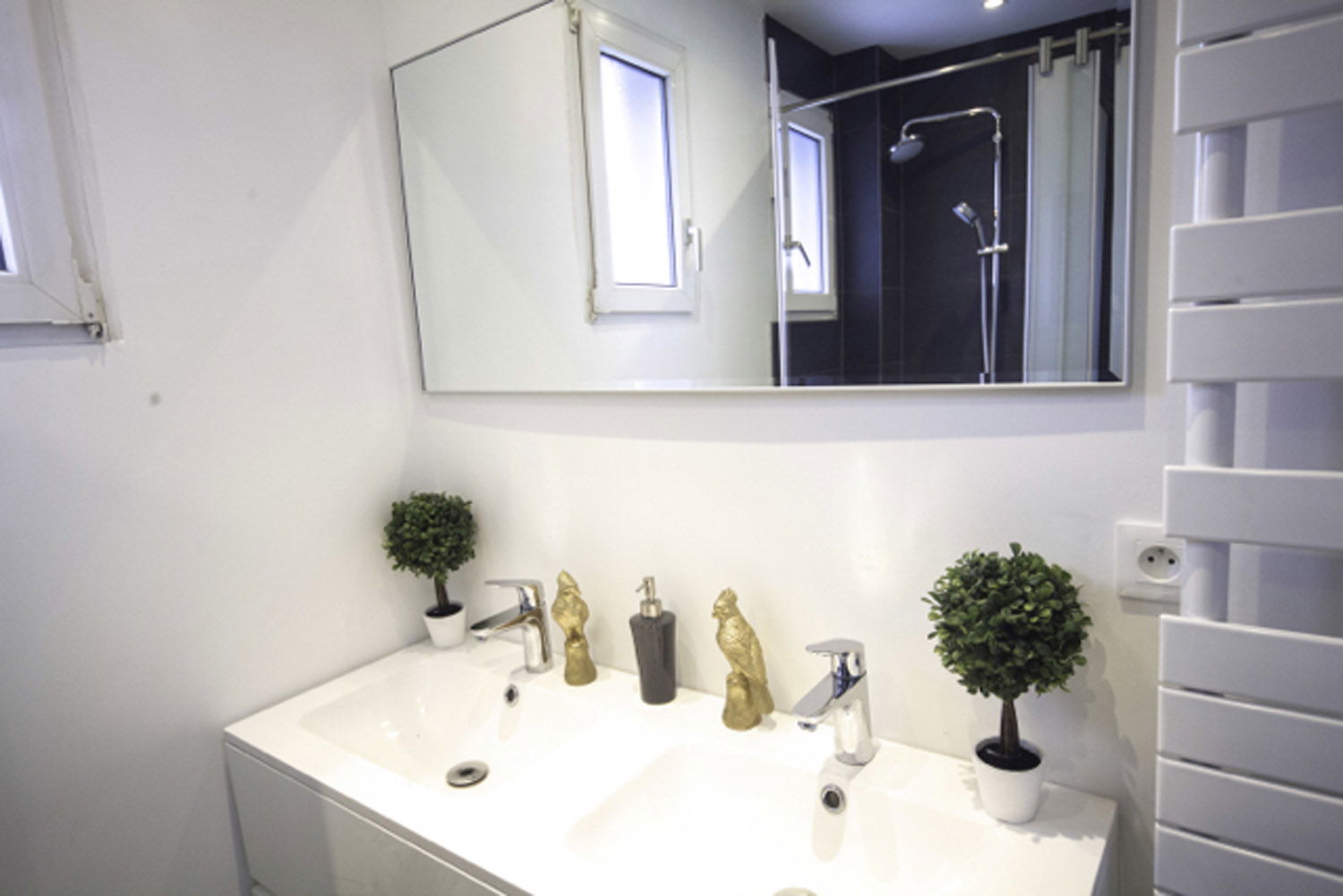 Colocation Strasbourg 264606