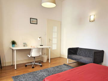 Room For Rent Strasbourg 264660