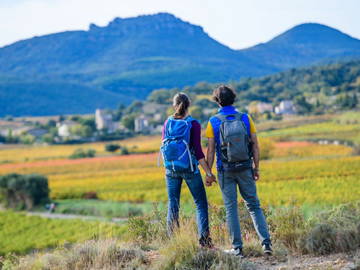 Logement Entier Roquessels 39435-8