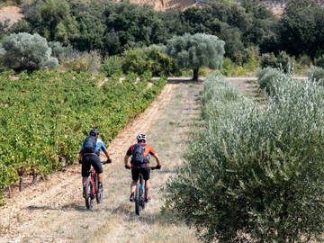 Logement Entier Roquessels 39435-9