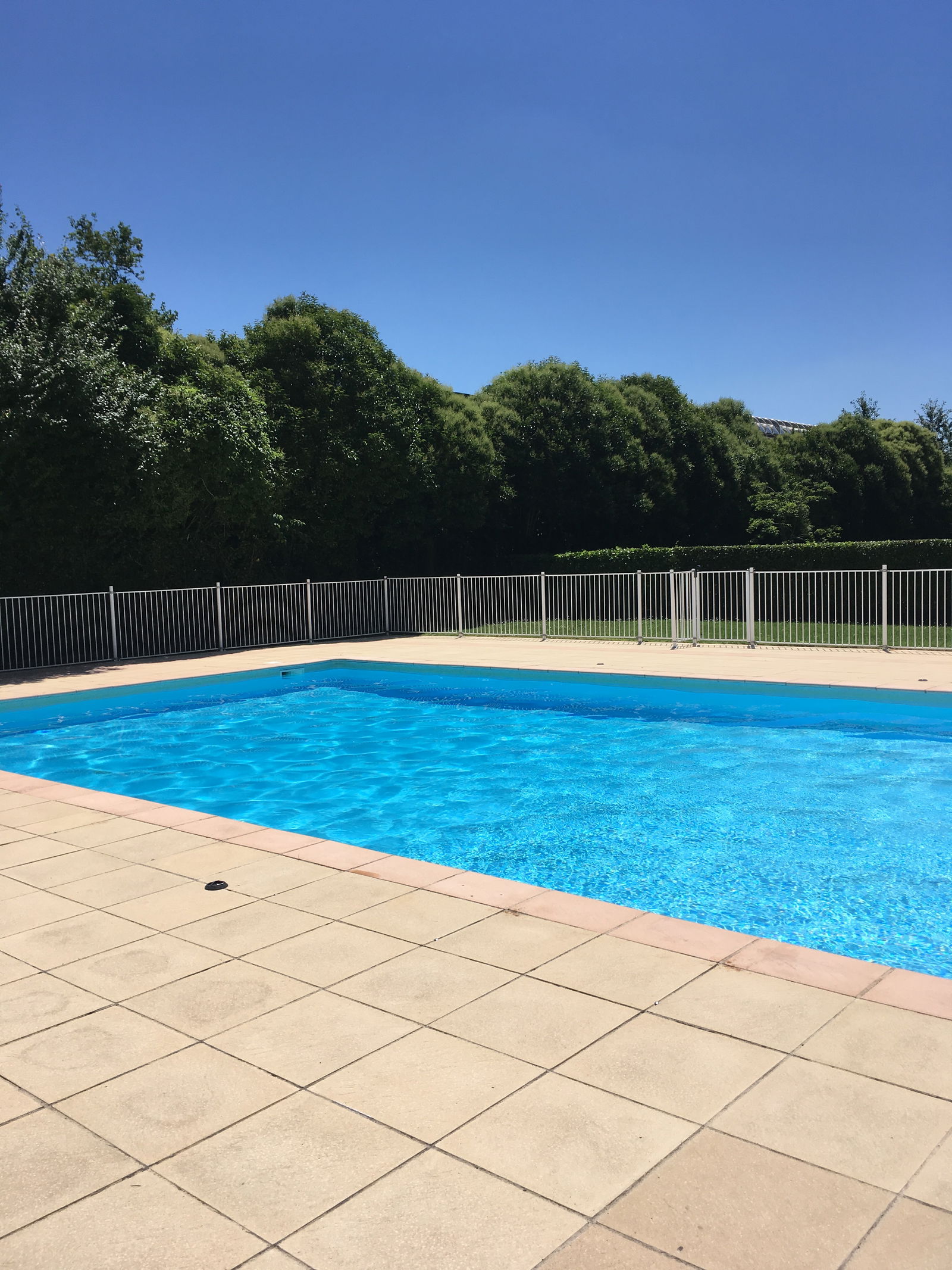 Homestay Toulouse 35658