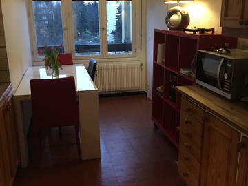 Room For Rent Ferney-Voltaire 215864