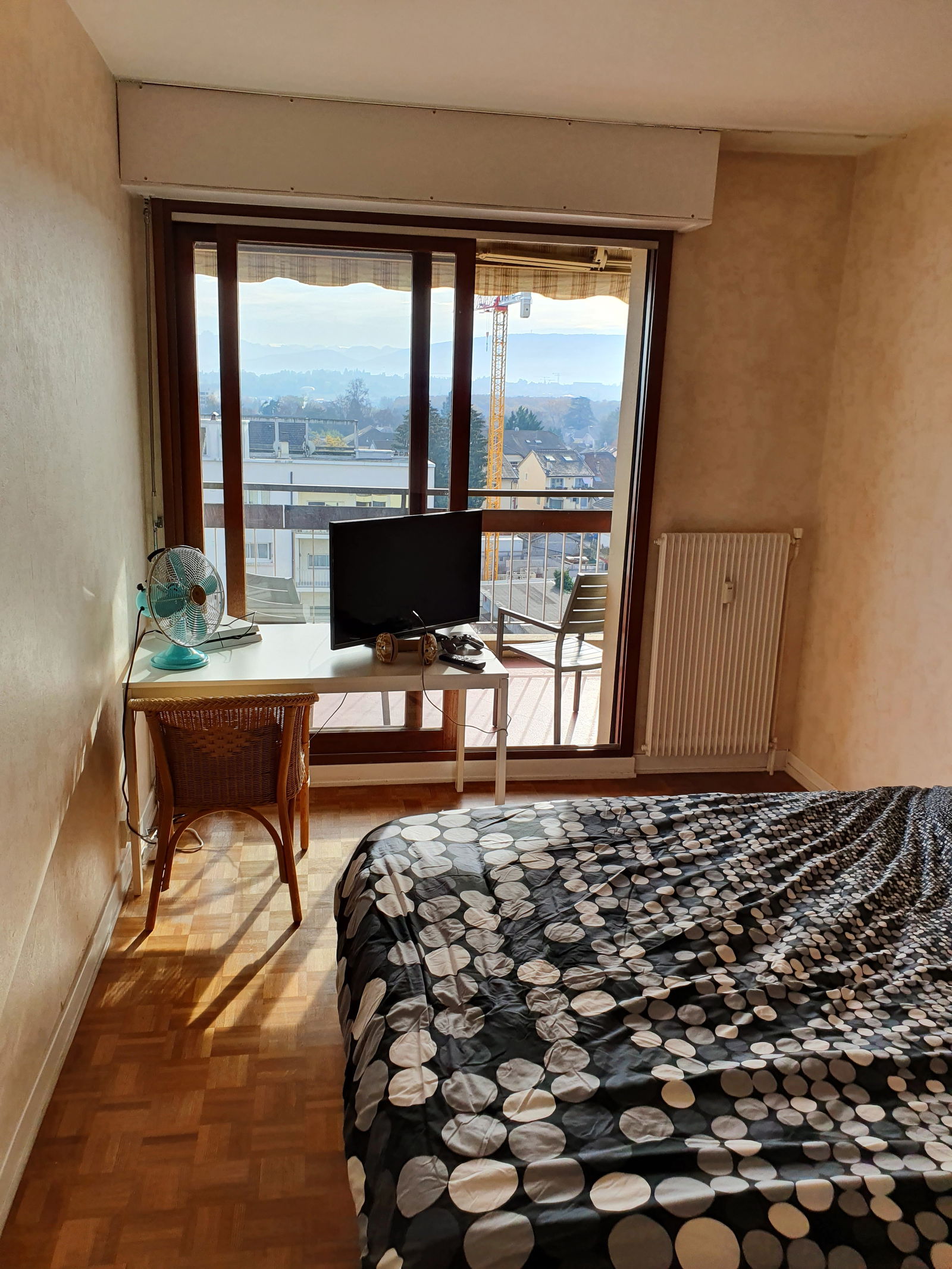 Homestay Ferney-Voltaire 215864