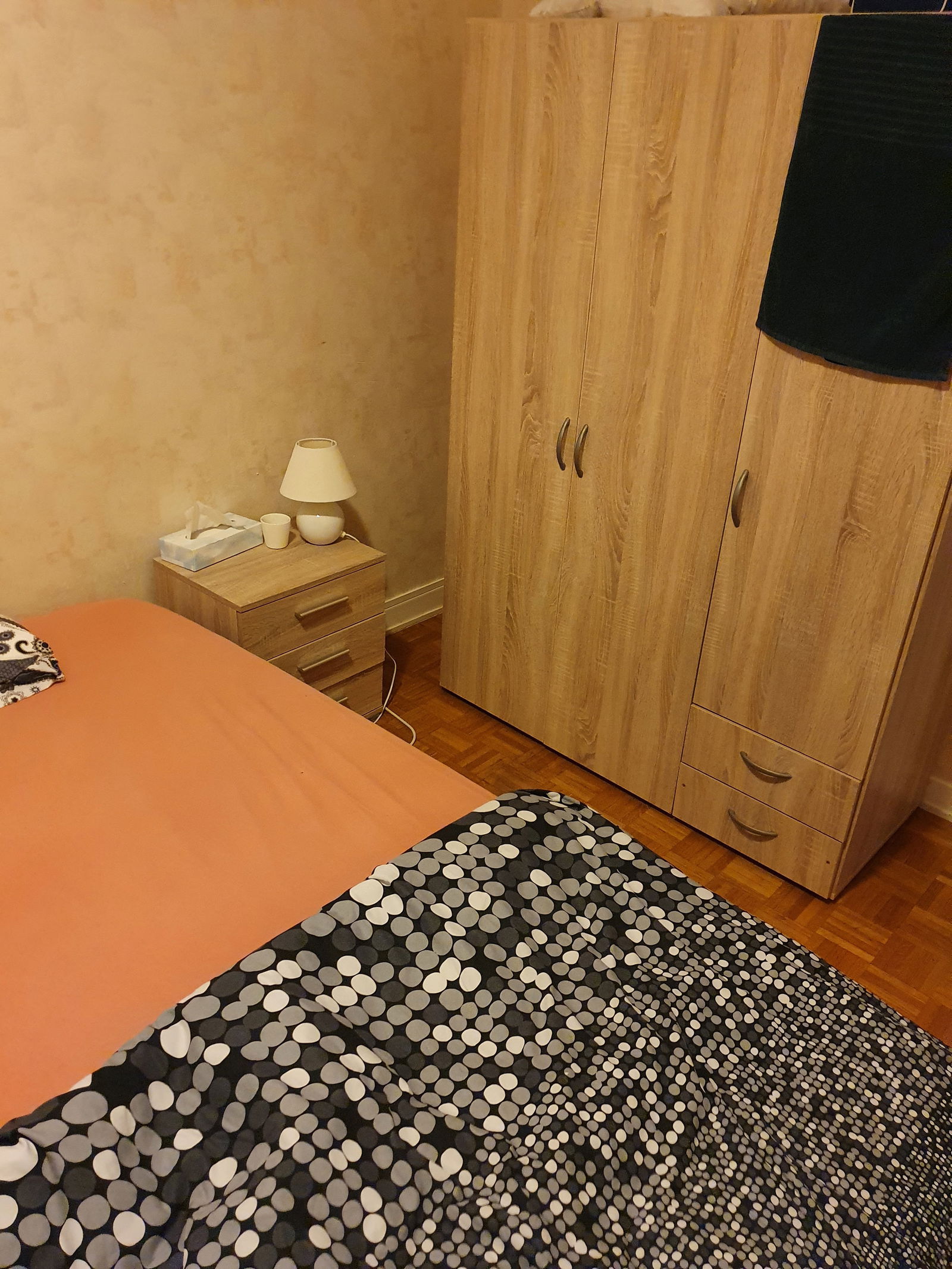 Homestay Ferney-Voltaire 215864