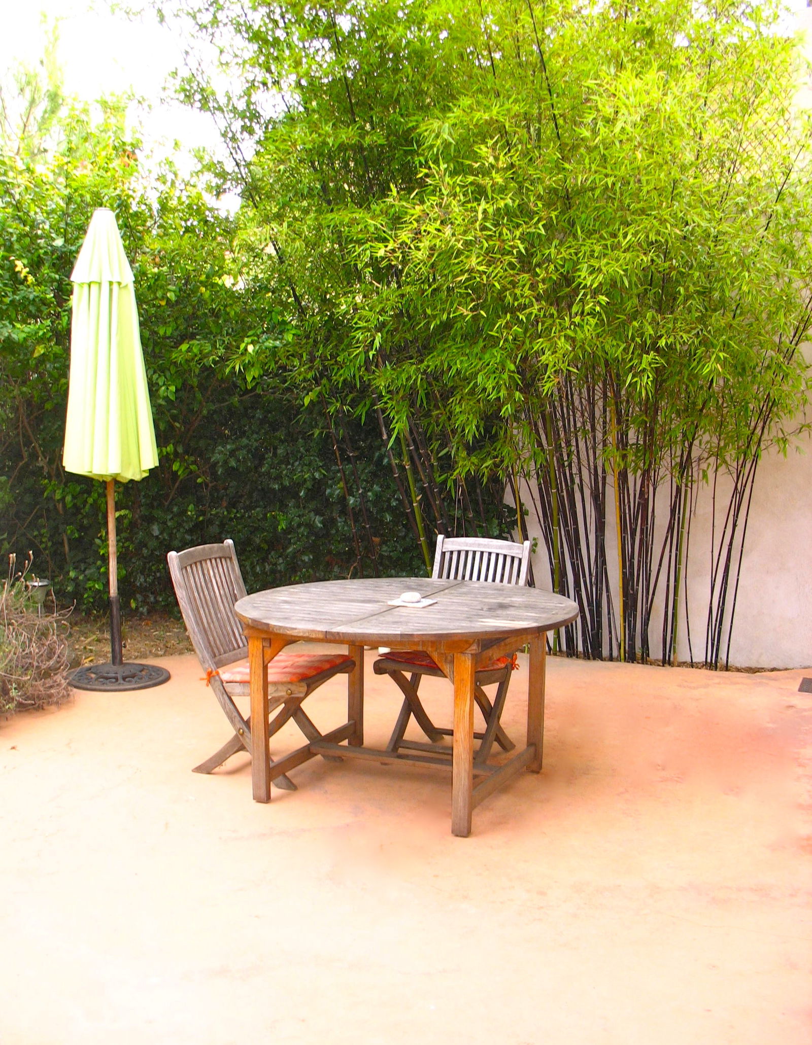 Homestay Nîmes 63120