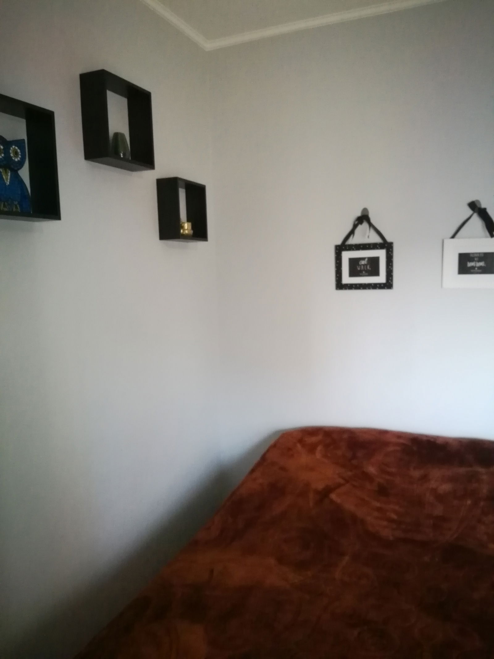 Homestay Toulouse 257829