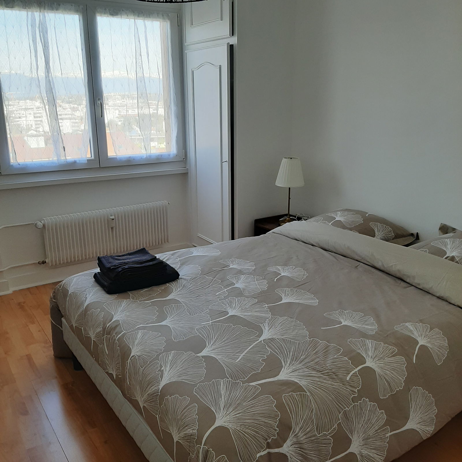 Colocation Annemasse 412936