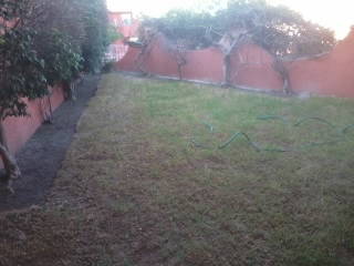 Chambre Chez L'habitant Santiago De Querétaro 233289-12