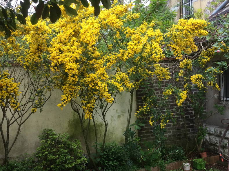 Quedarse En Casa Gouvieux 243899-5