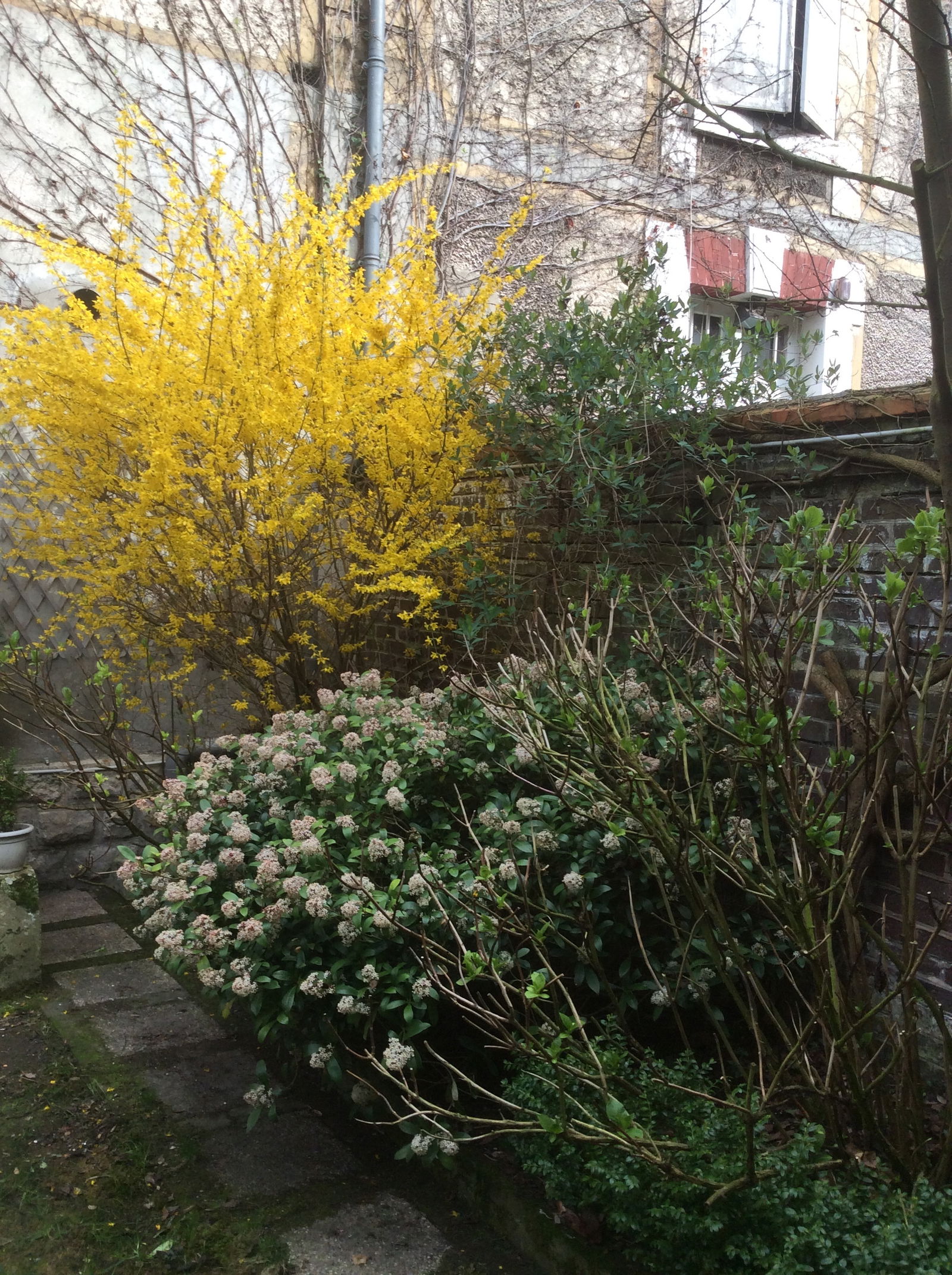 Homestay Gouvieux 243899
