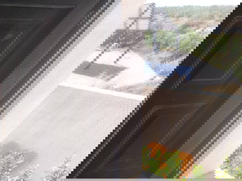 Quedarse En Casa Baza 277951-2