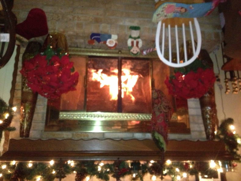 Gastgezin Alvin 134779-3