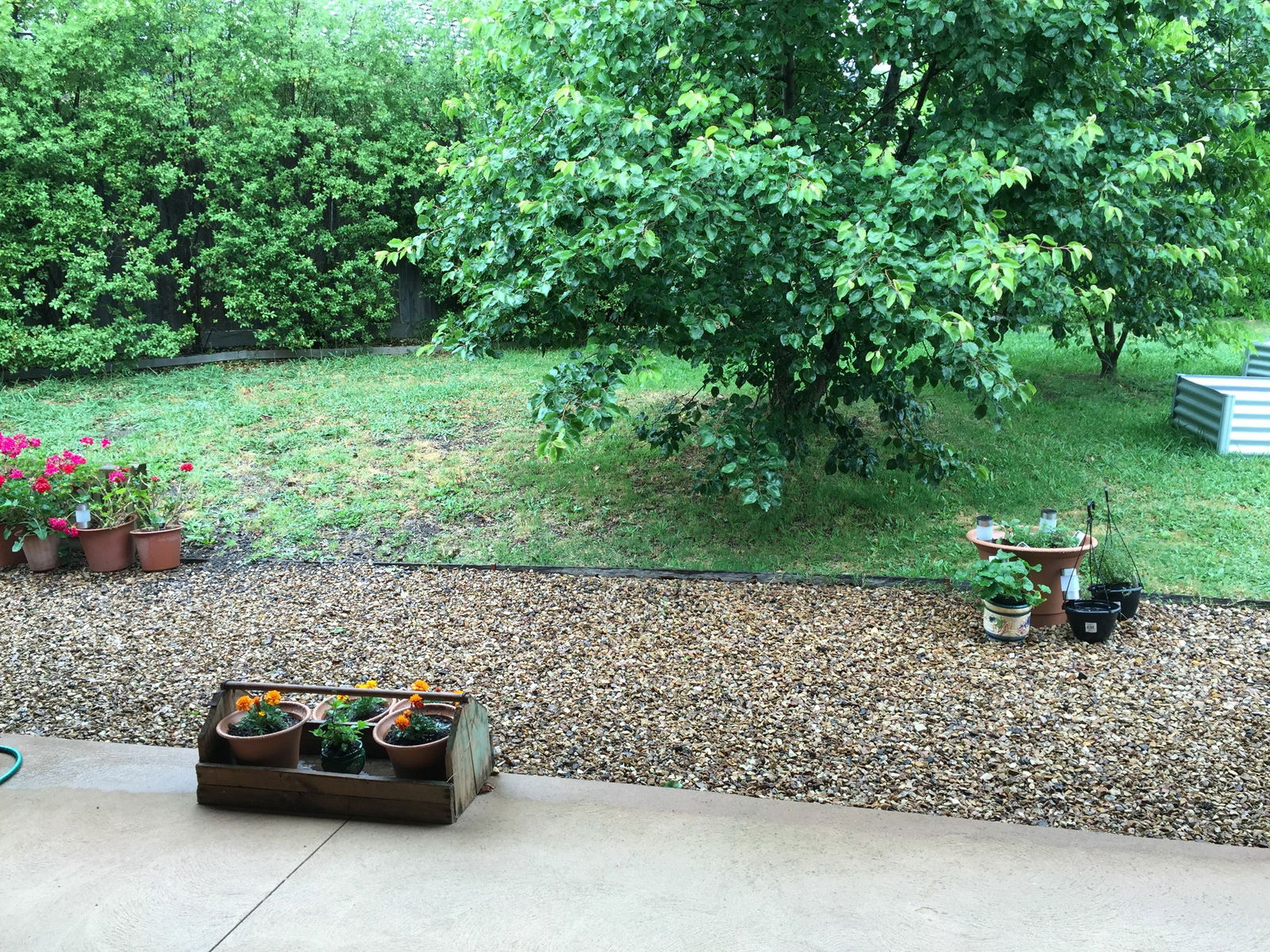 Homestay Berwick 117440