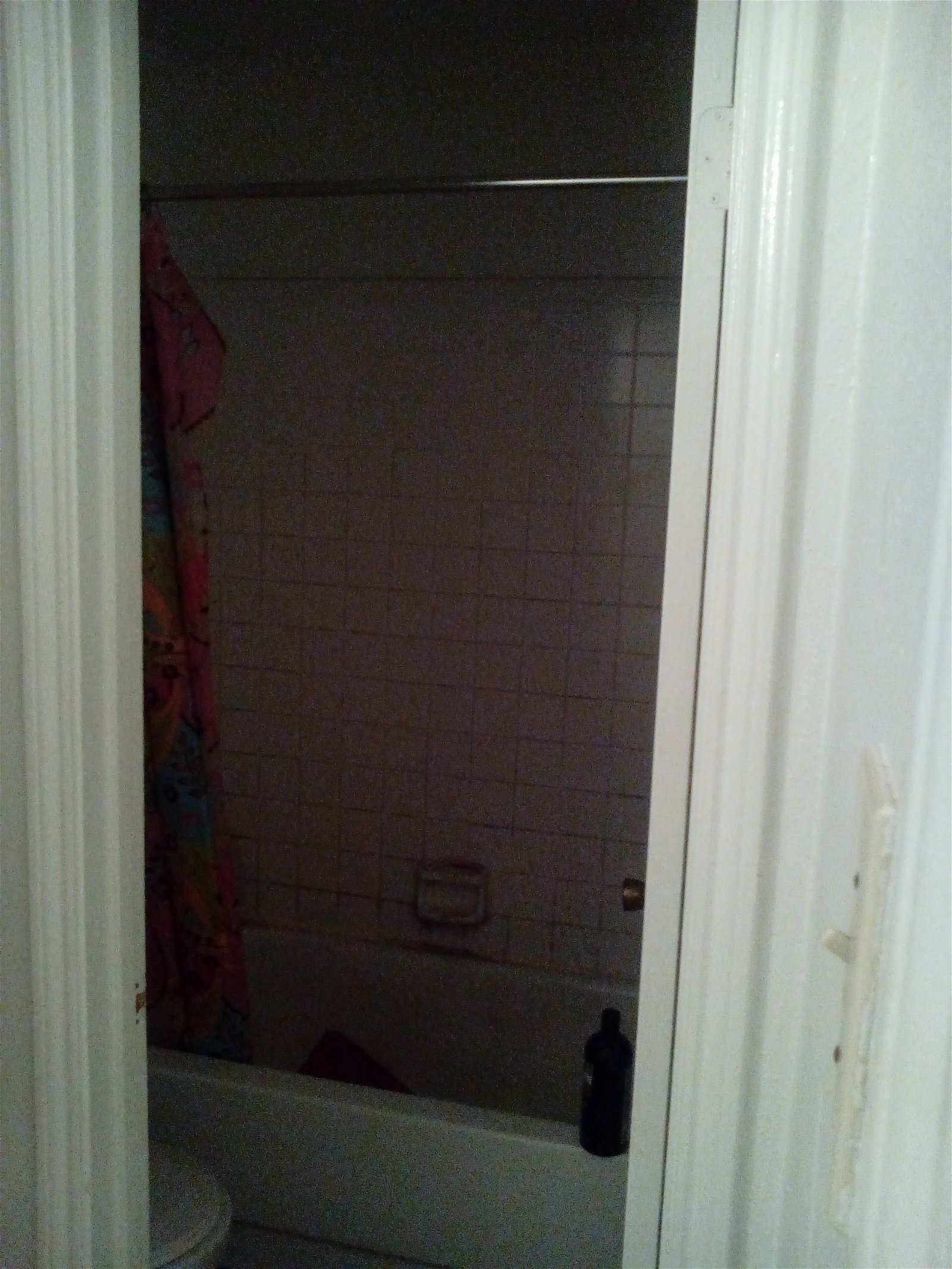 Gastgezin Lewisville 136336