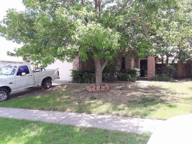 Homestay McKinney 139377