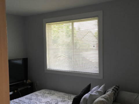 Homestay Ottawa 138602-4