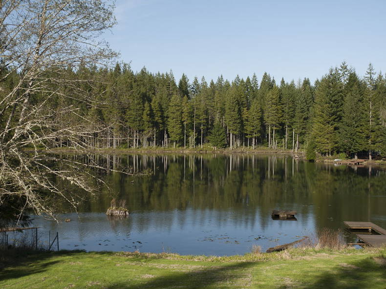Chambre Chez L'habitant Sandy 134287-1