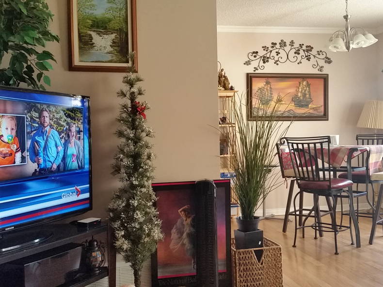 Chambre Chez L'habitant Toronto 135972-2