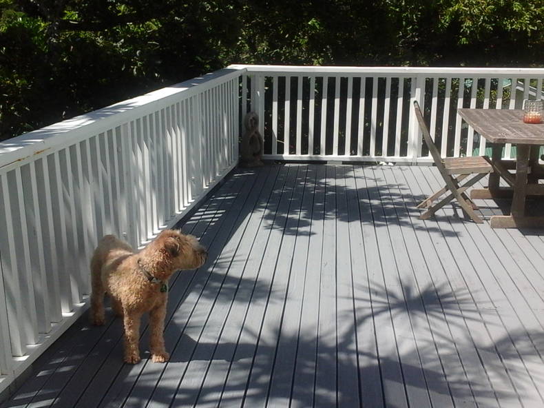 Gastfamilie Wellington 138314-2