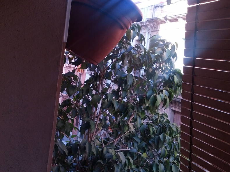 Gastfamilie Barcelona 109652-4