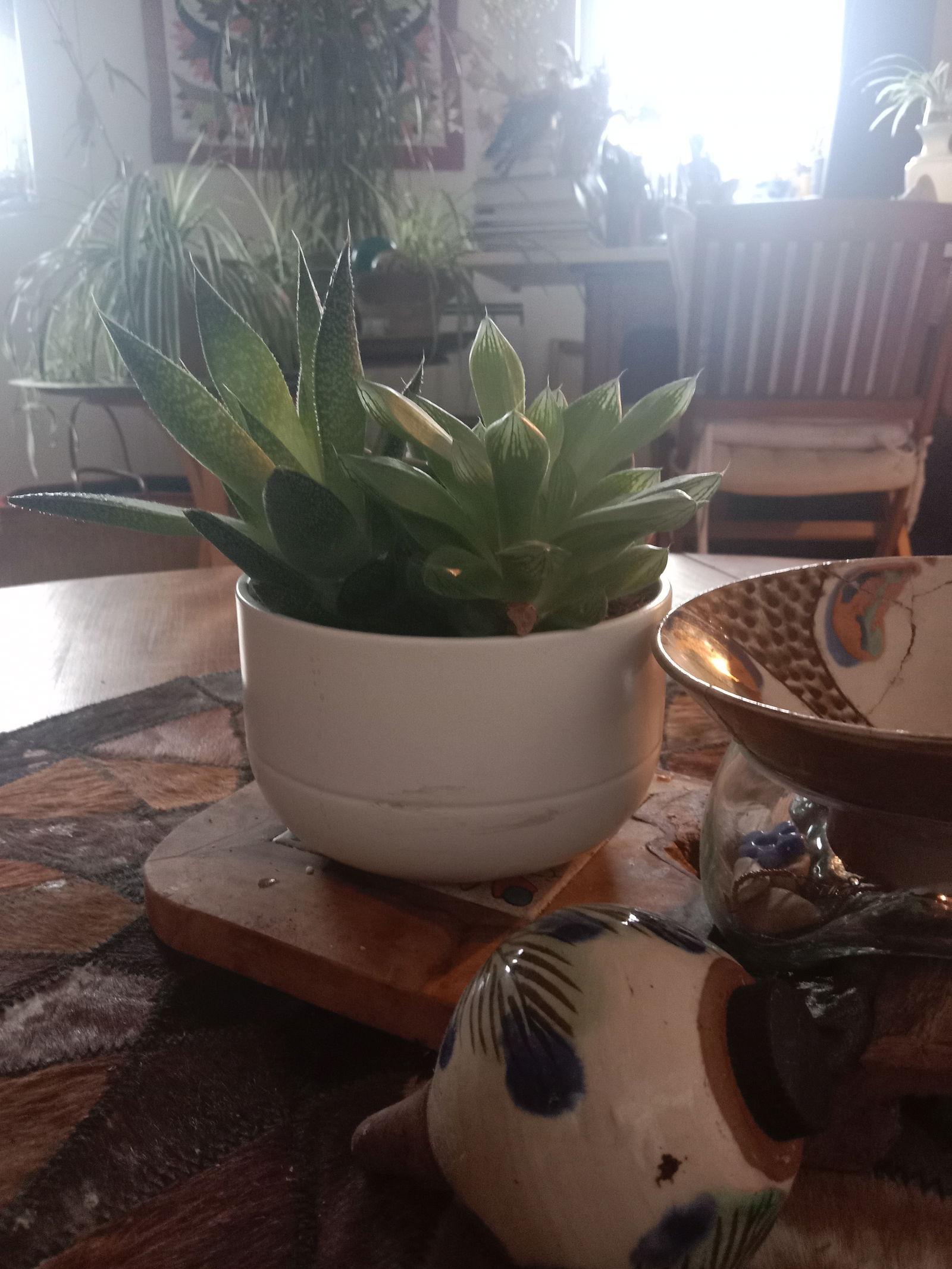 Collocazione Lambersart 630236