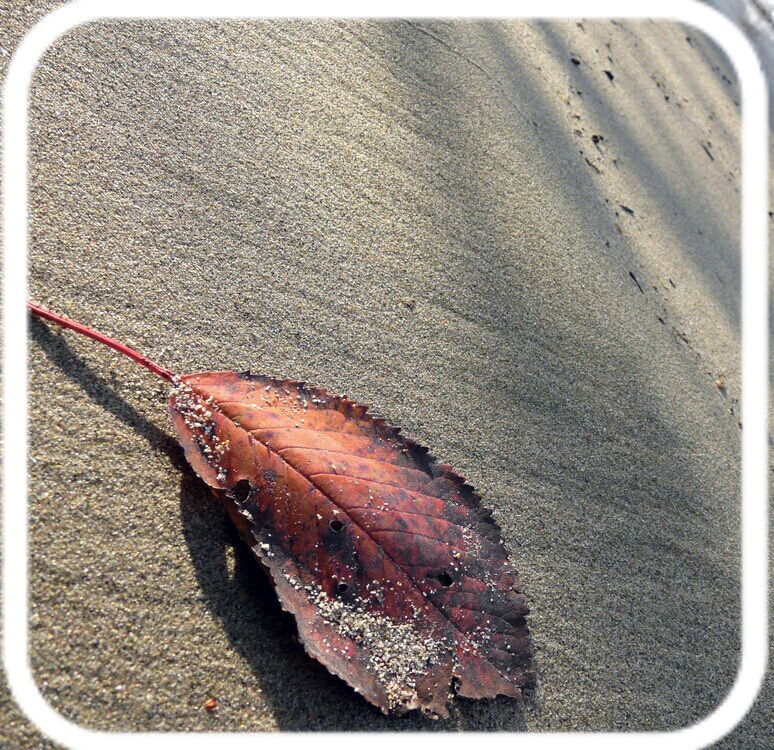 Famiglia Cheyres-Châbles 631112