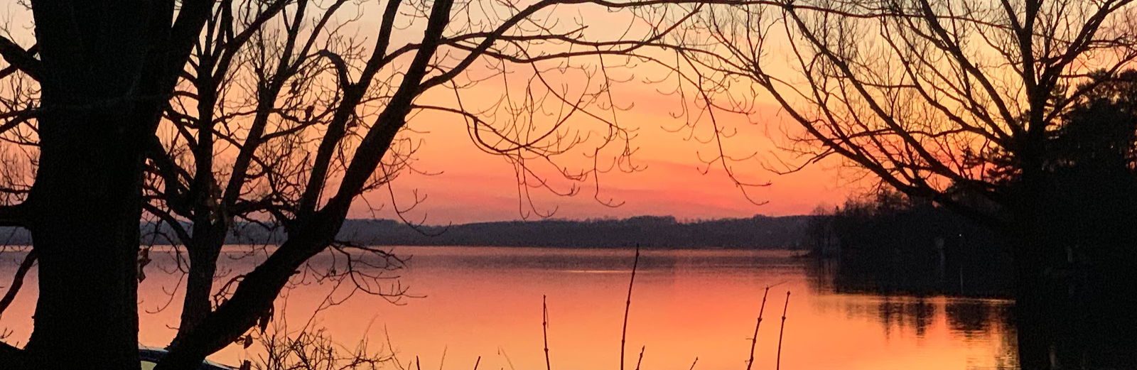 Famiglia Orillia 657850