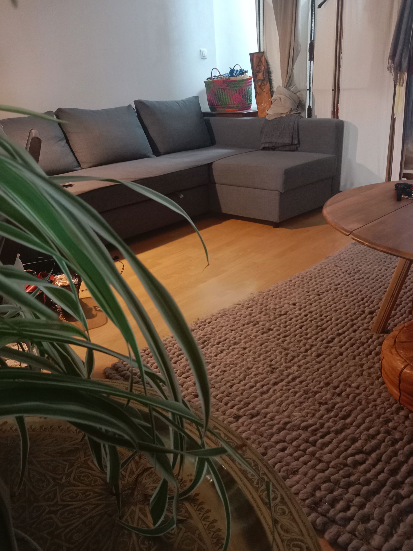 Colocatie Lambersart 630236