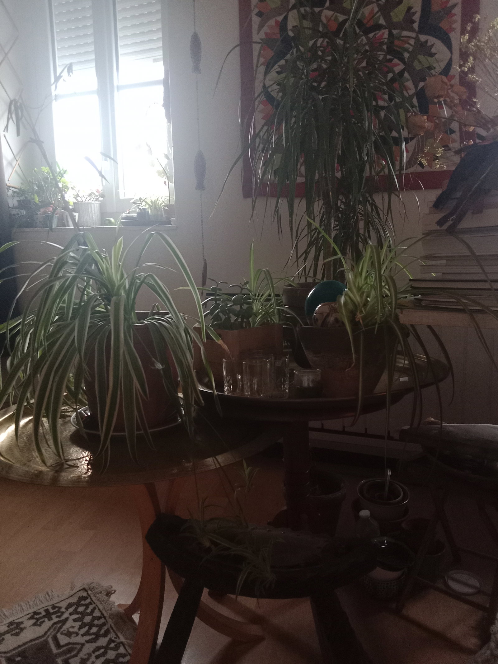 Kolokacja Lambersart 630236