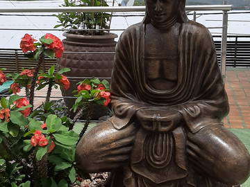 Homestay Fort-De-France 236983-5