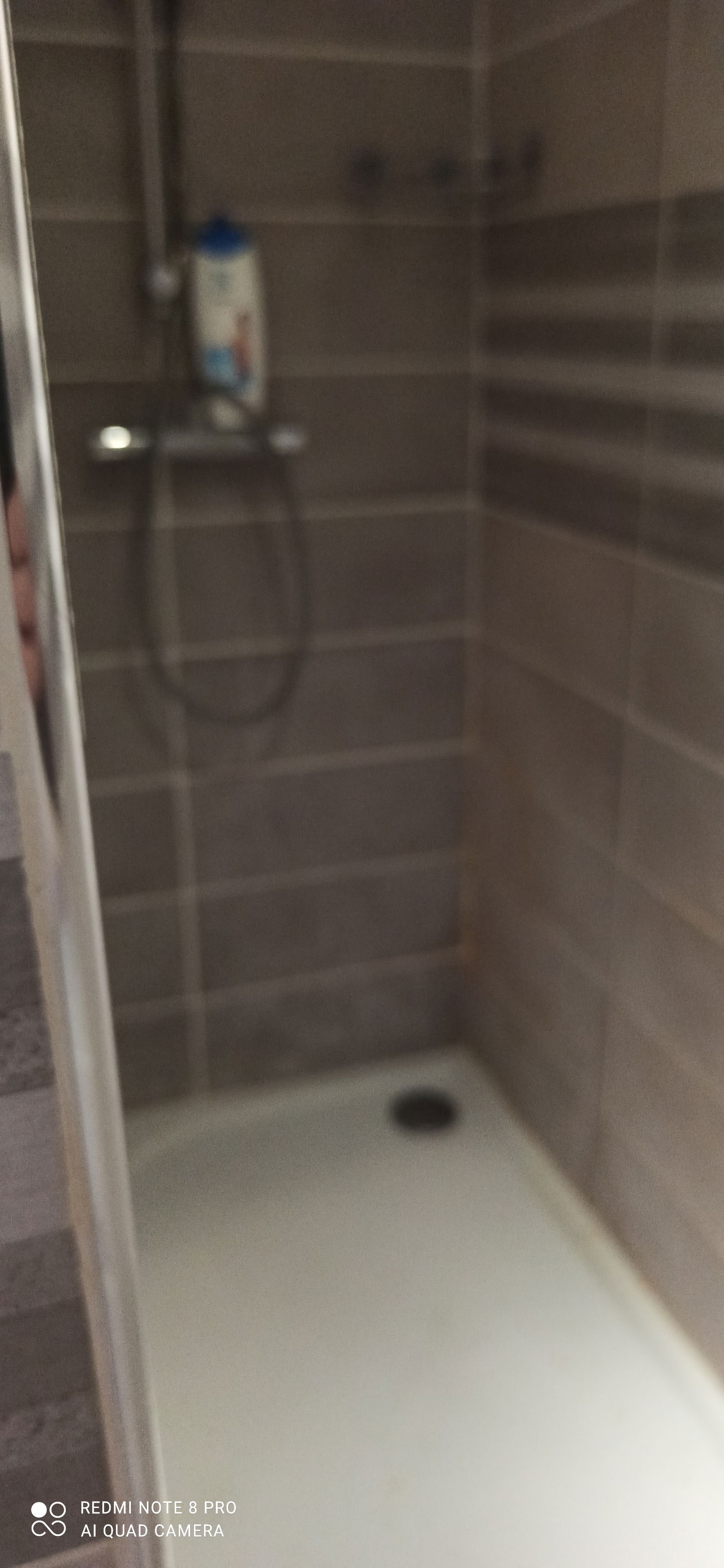 Famiglia Béziers 249673