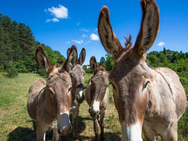 Habitaciones De Huéspedes Forcalquier 94541-2