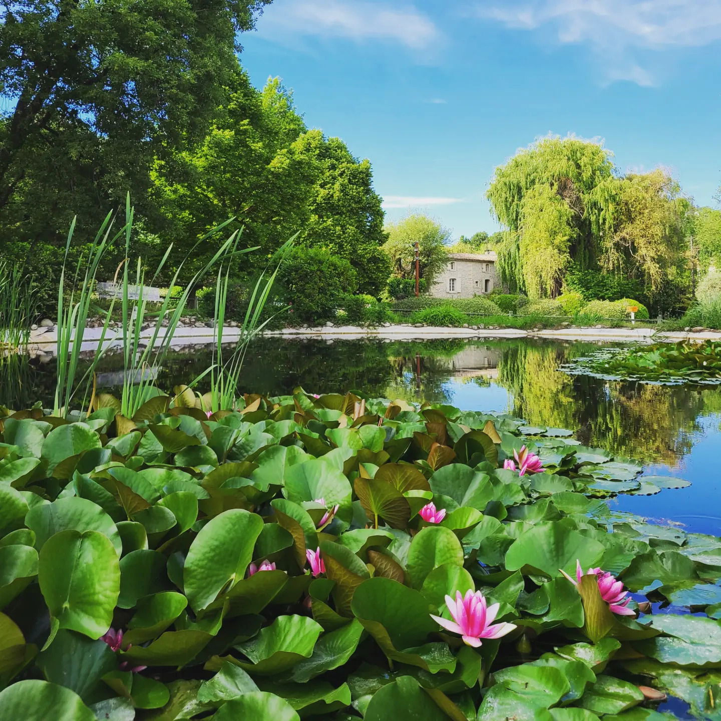 Bed And Breakfast Forcalquier 94541