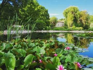Chambre D'hôte Forcalquier 94541-9