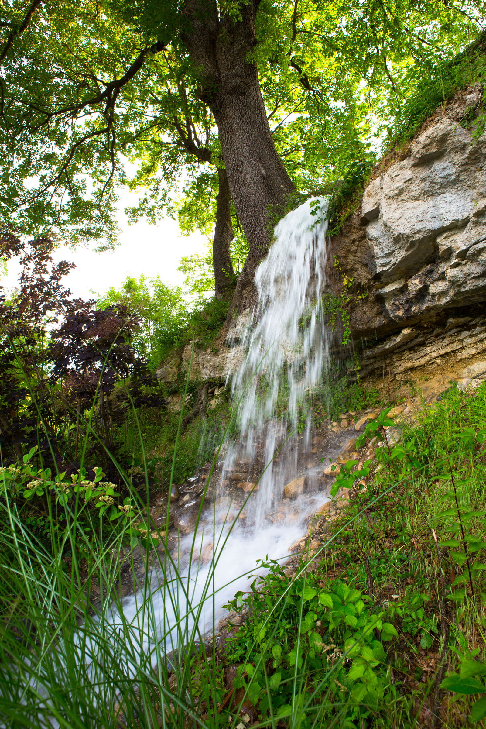 Camere Per Gli Ospiti Forcalquier 94541